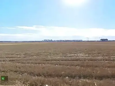 Teren extravilan arabil de vanzare cumparare Stefanestii de Jos Ilfov